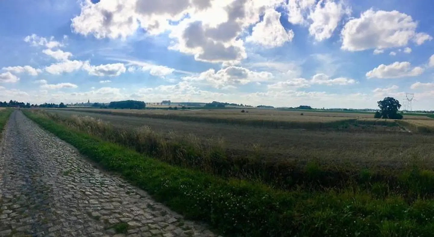 Le Pave de la Croix Blanche LANDSCAPE