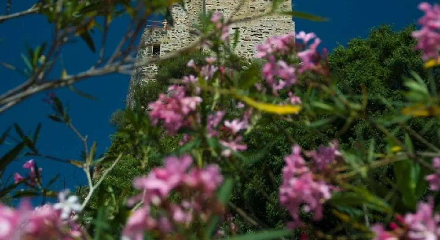 Castello Malicas Garten