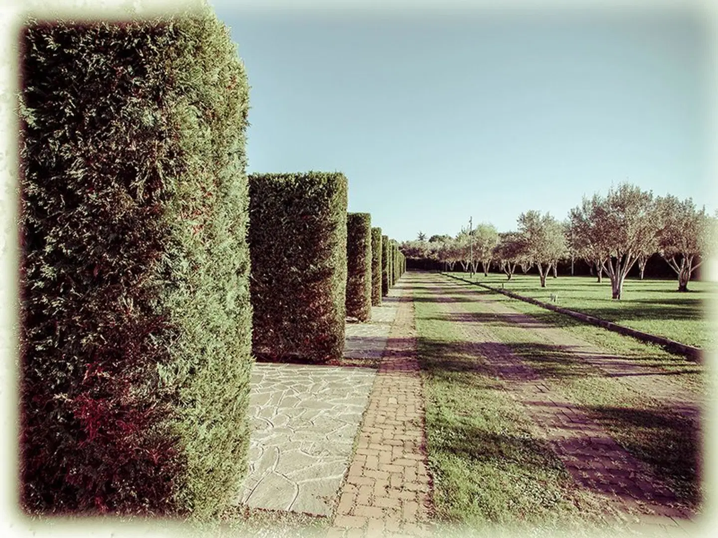 All Ways Garden Hotel & Leisure Garten