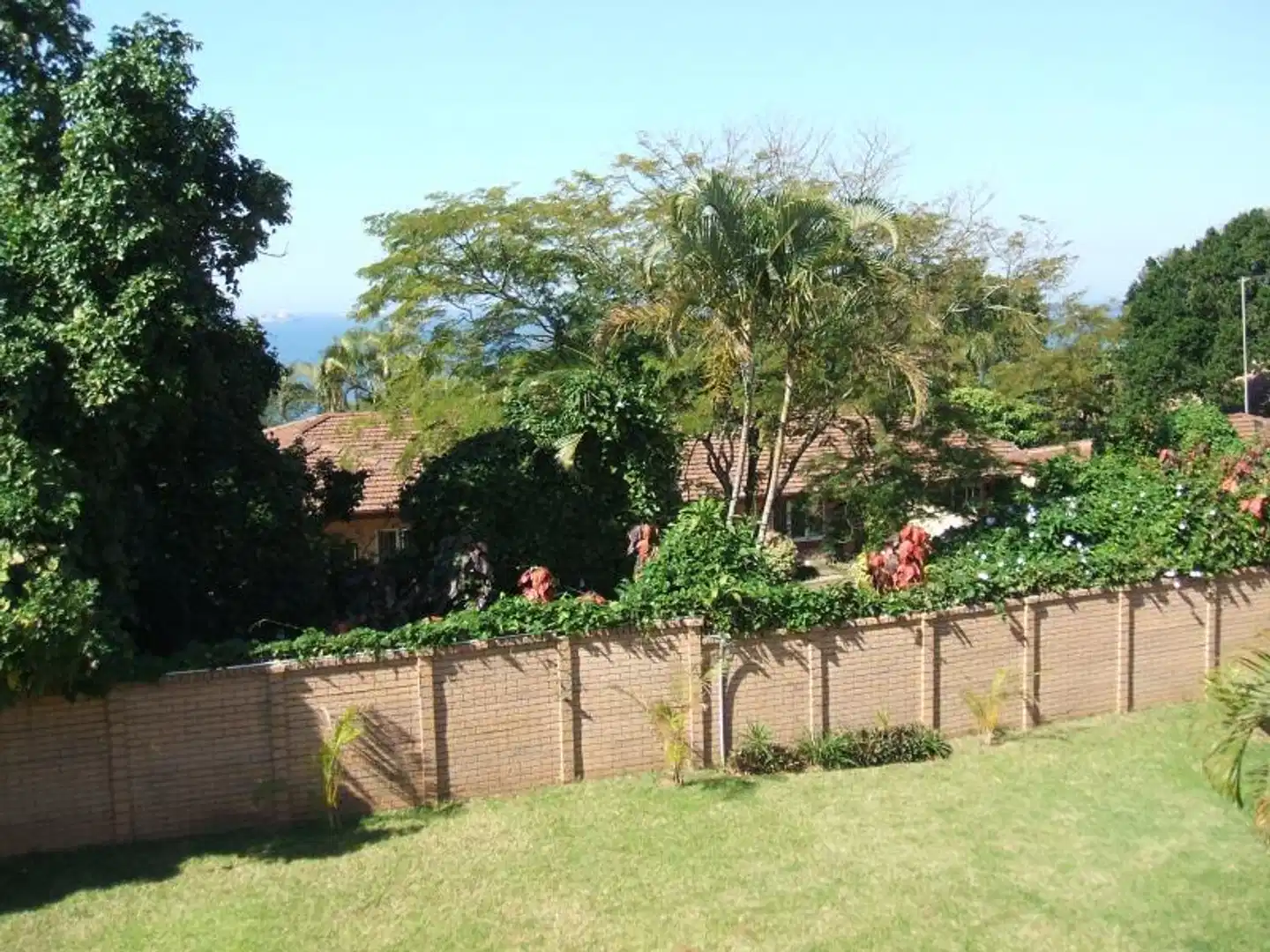 Ridgesea Guest House Tiere