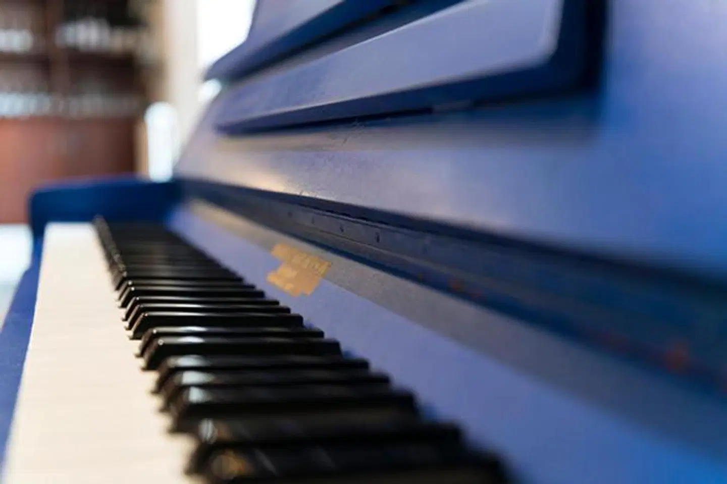 The Blue Piano Guesthouse LANDSCAPE