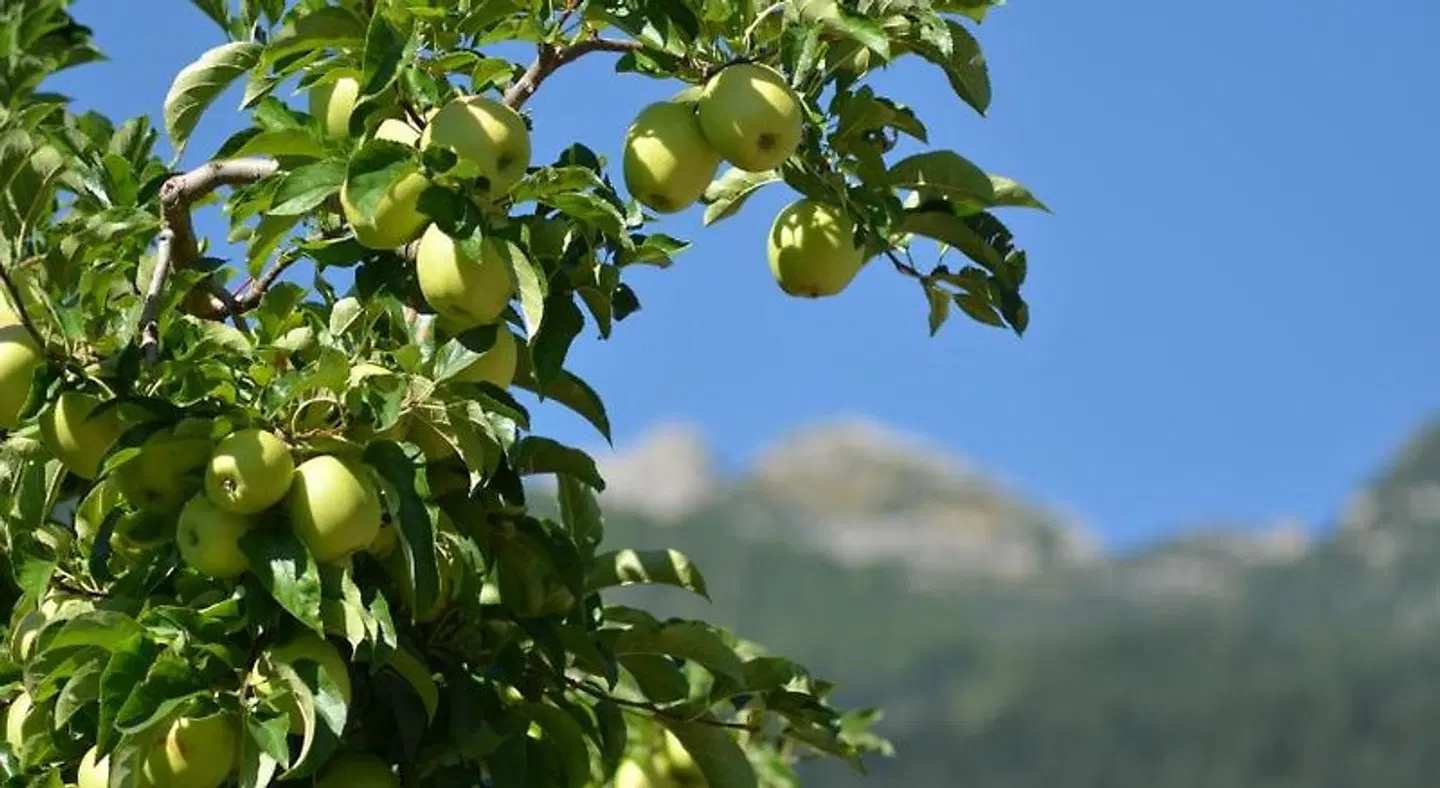 B&B al Trifoglio LANDSCAPE