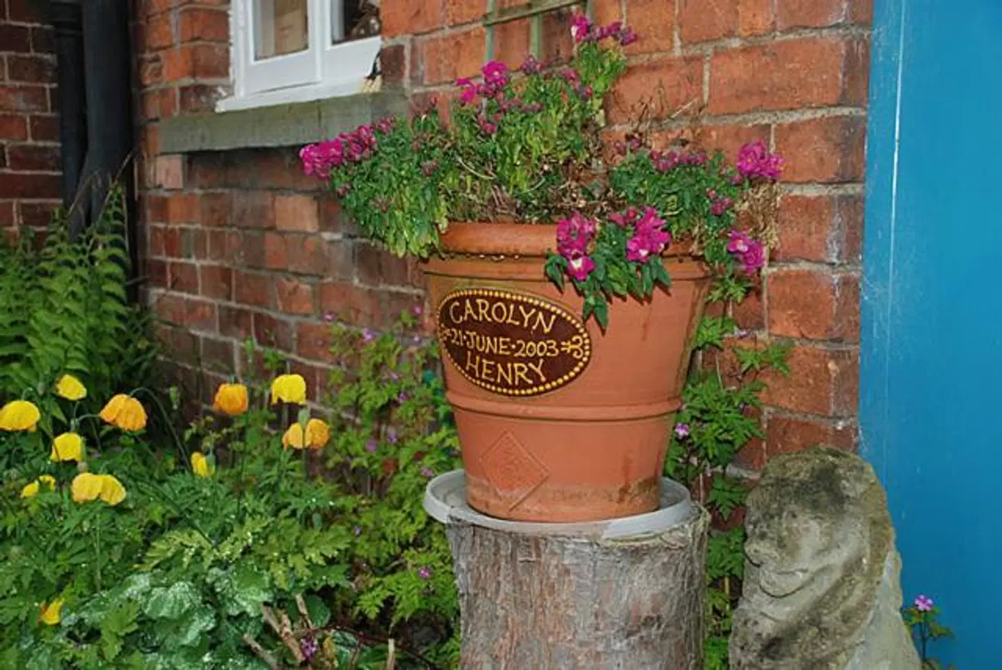 Lower Buckton Country House Garten