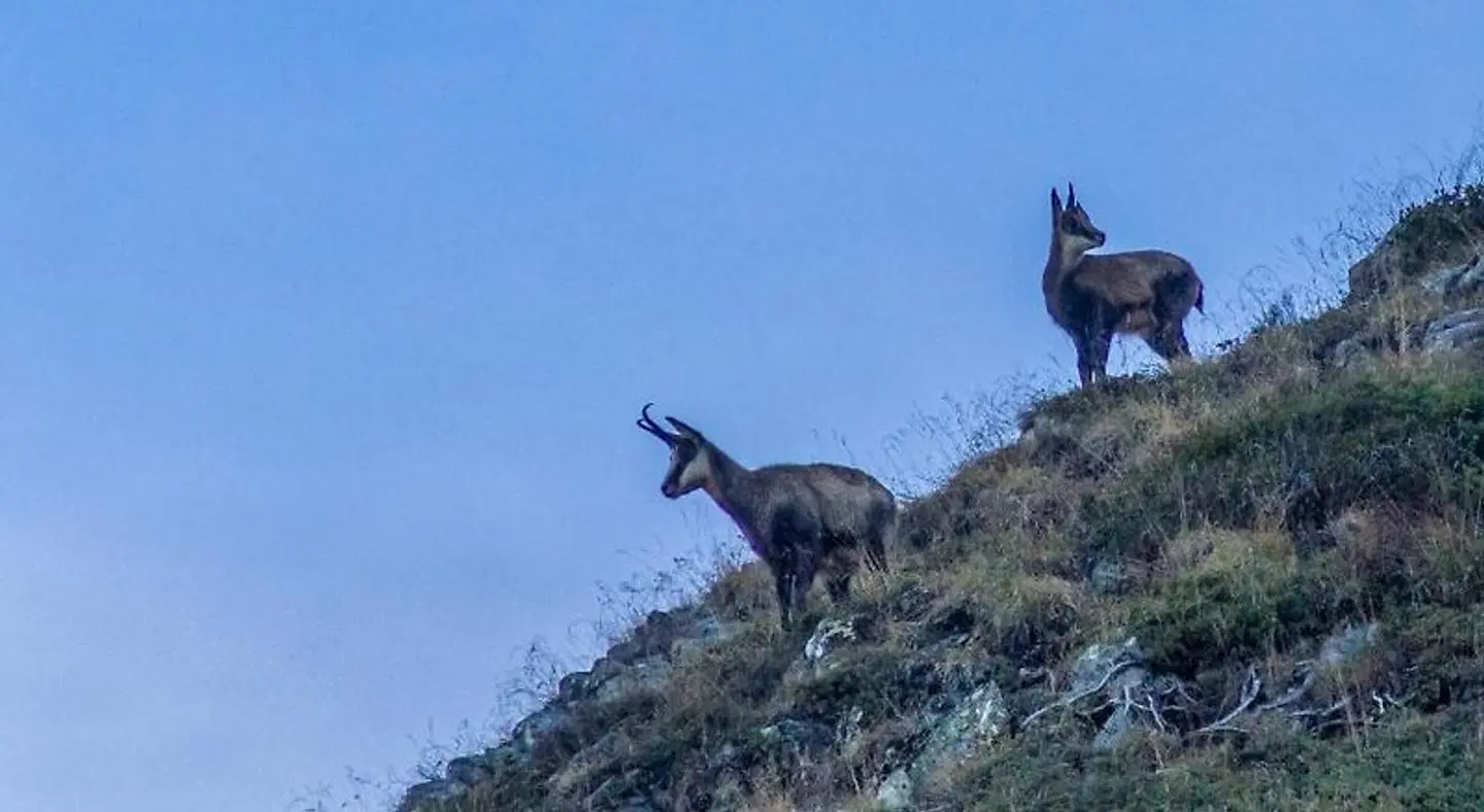 Chambre d'Hote Chez Tourache Tiere