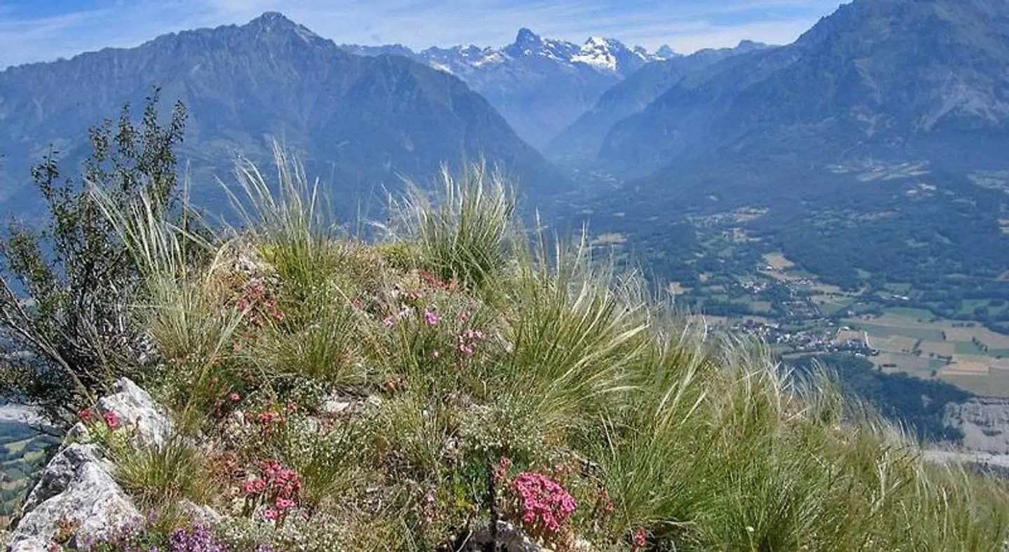Chambre d'Hote Chez Tourache LANDSCAPE