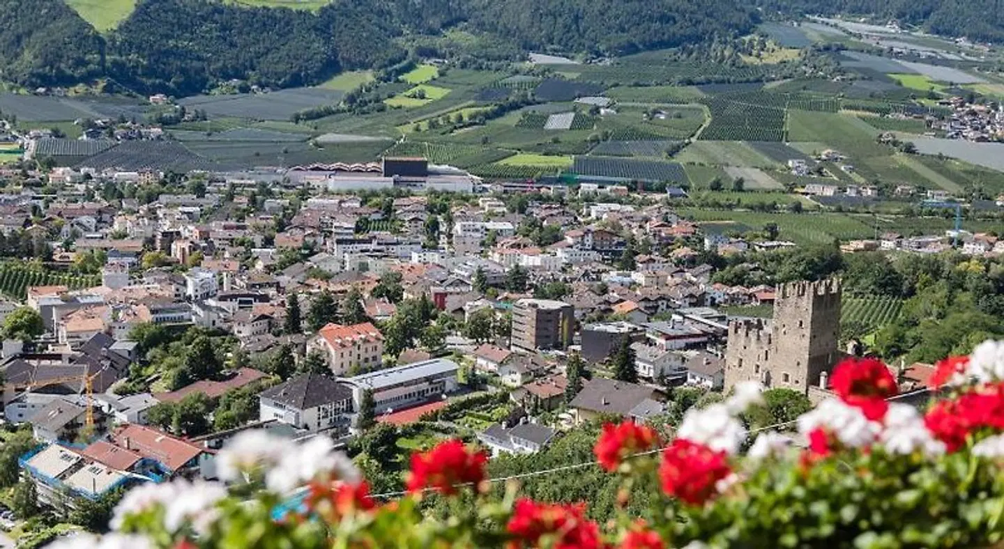 Gasthof Falkenstein LANDSCAPE