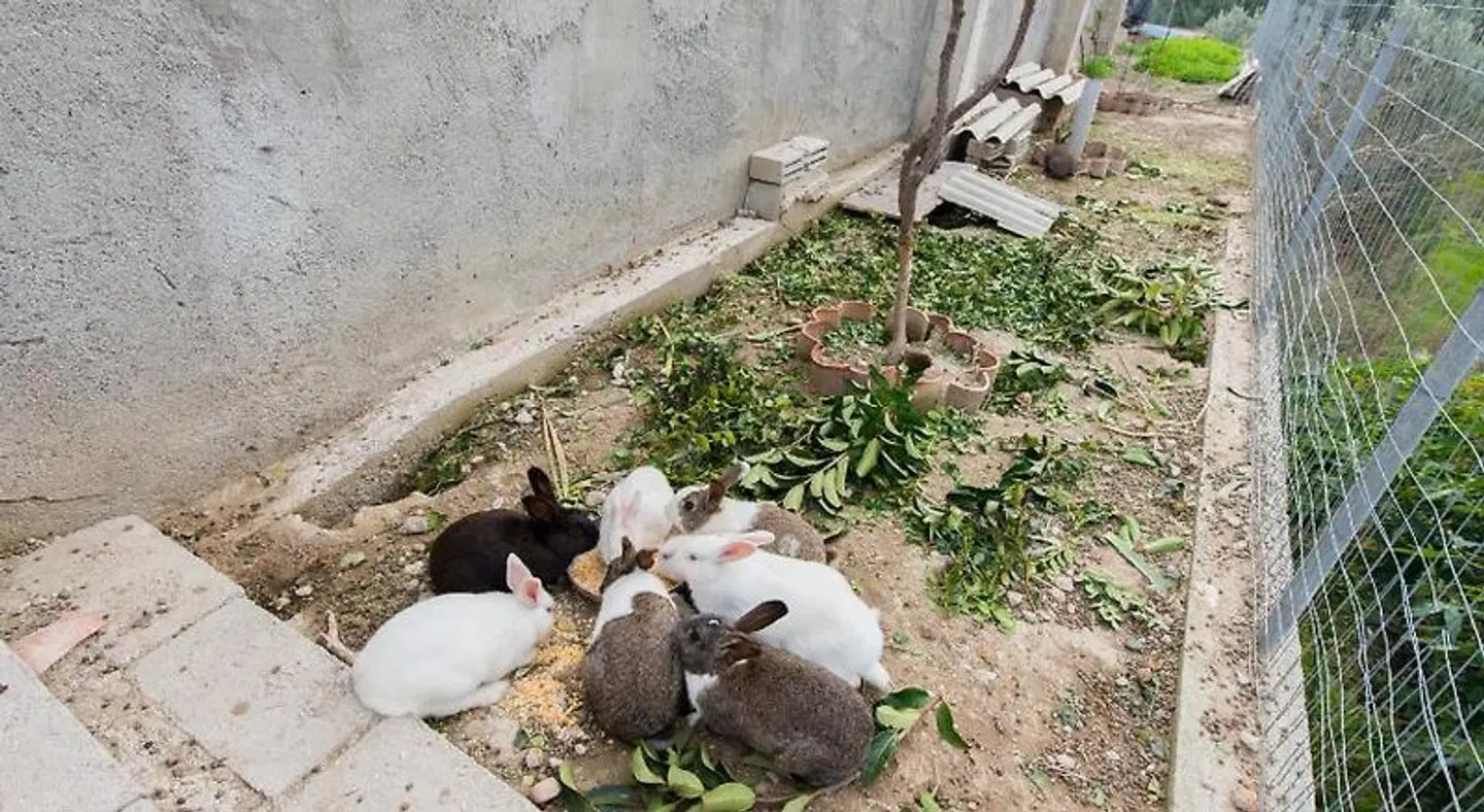 Natura House Tiere