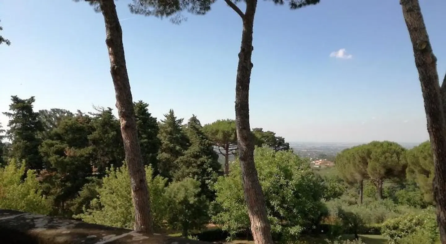 B&B Vigna dell'Agrifoglio LANDSCAPE