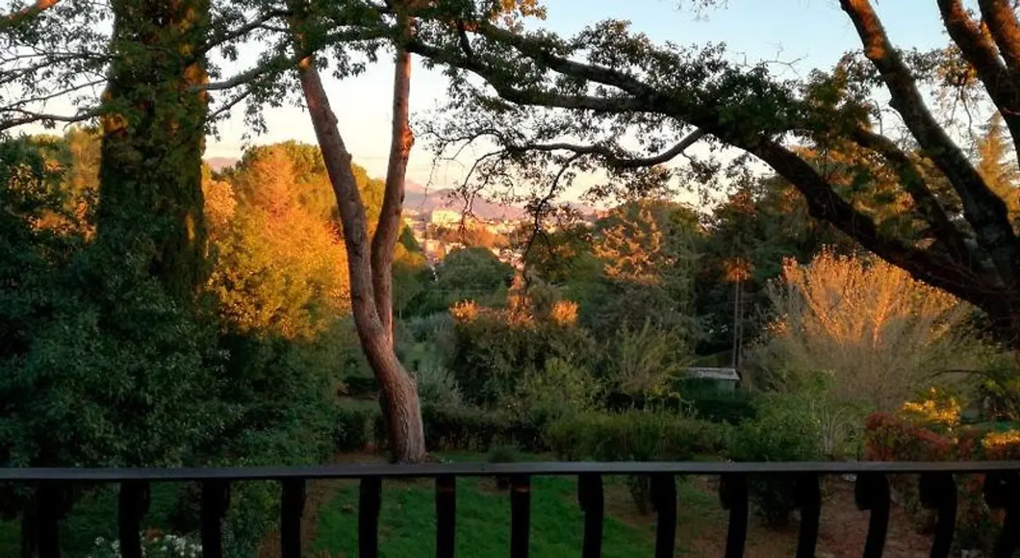 B&B Vigna dell'Agrifoglio LANDSCAPE