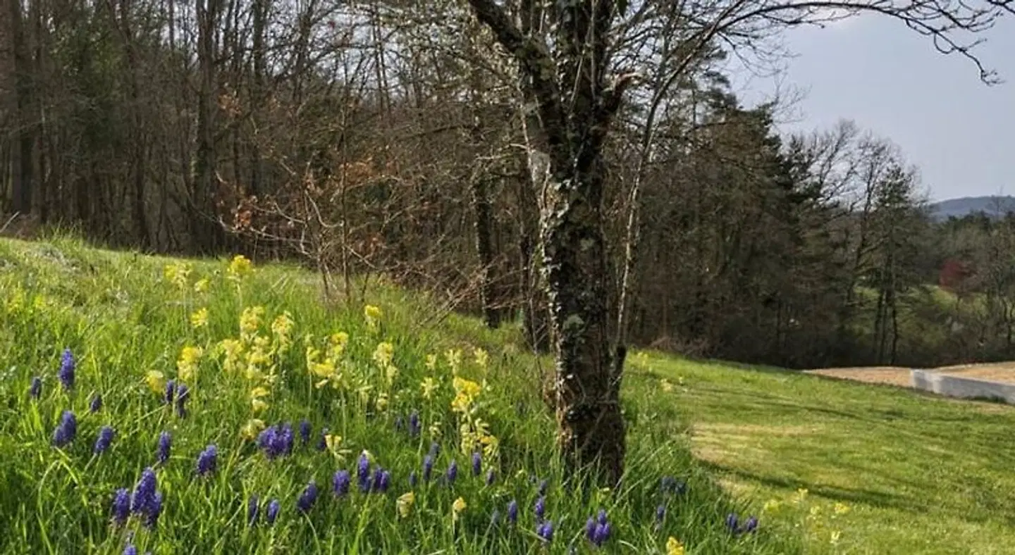 Domaine de Fleurie LANDSCAPE