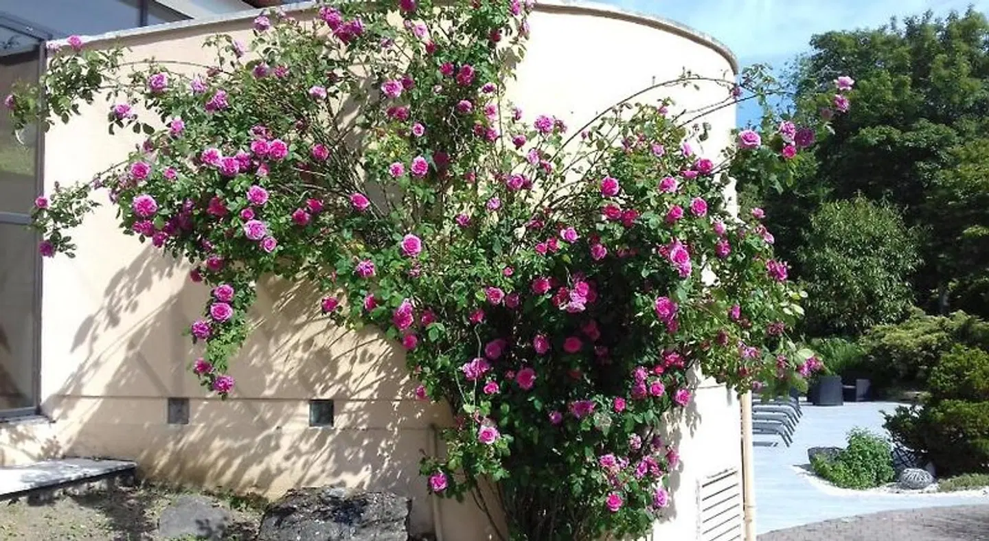 Le Manoir de la mantille EXTERIOR