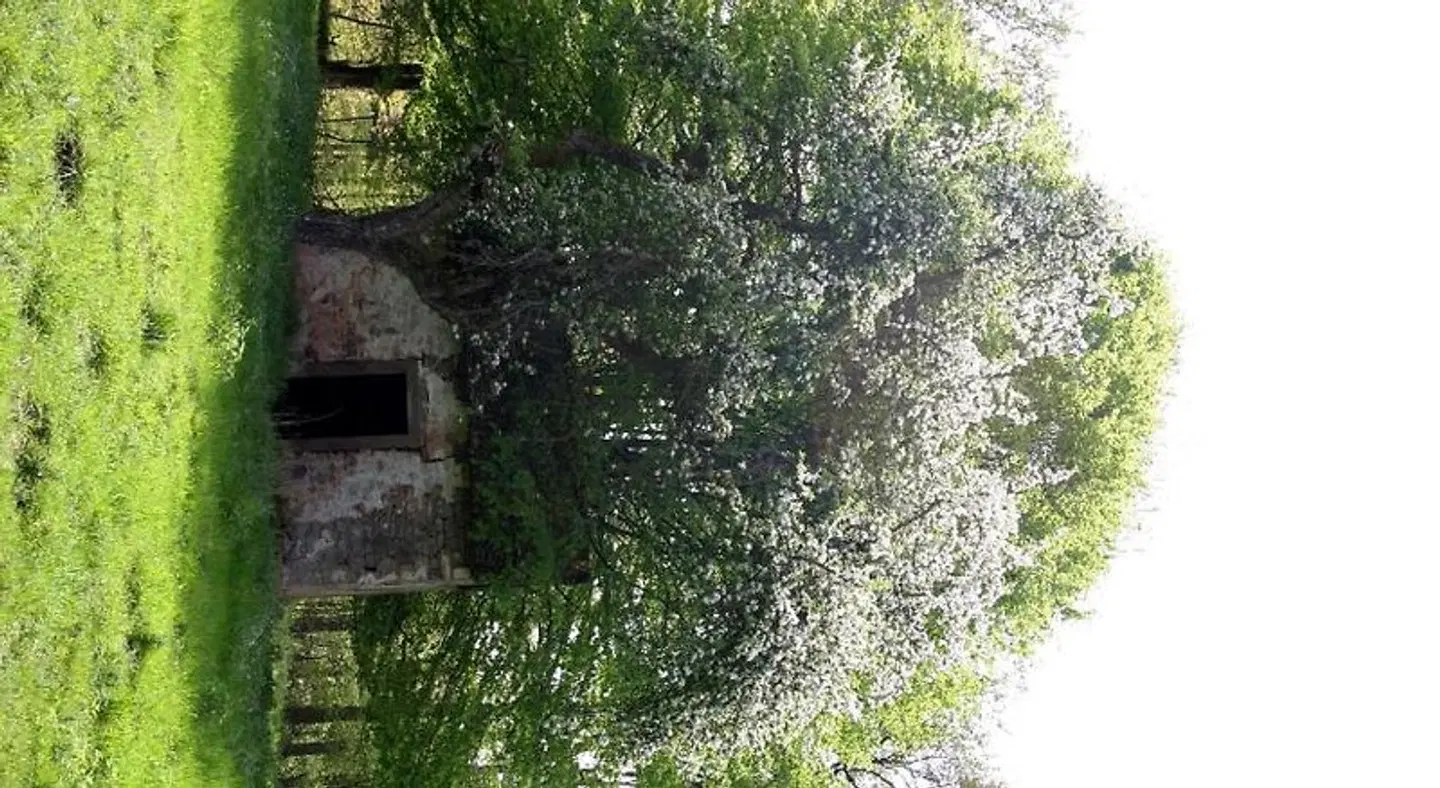 Zur Krone Garten