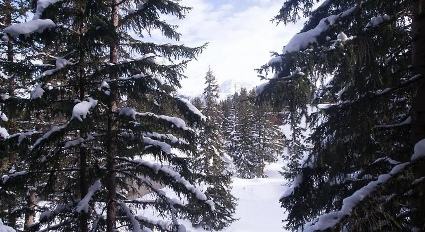 Mercure Courchevel LANDSCAPE