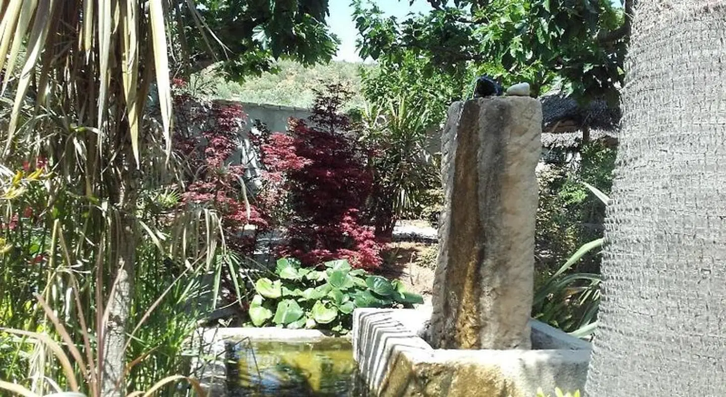 La Bastide de l'Oliveraie Garten