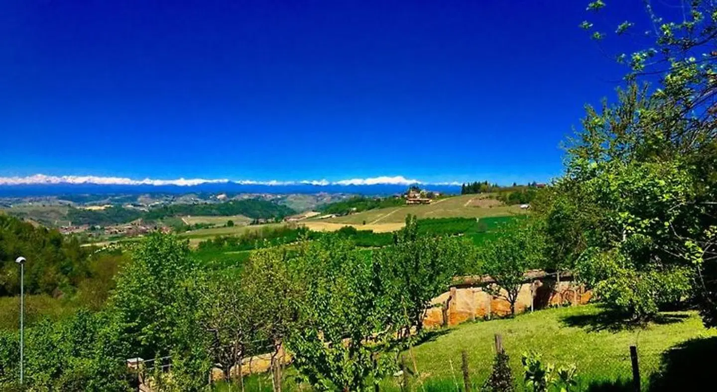 Cascina Cortine LANDSCAPE