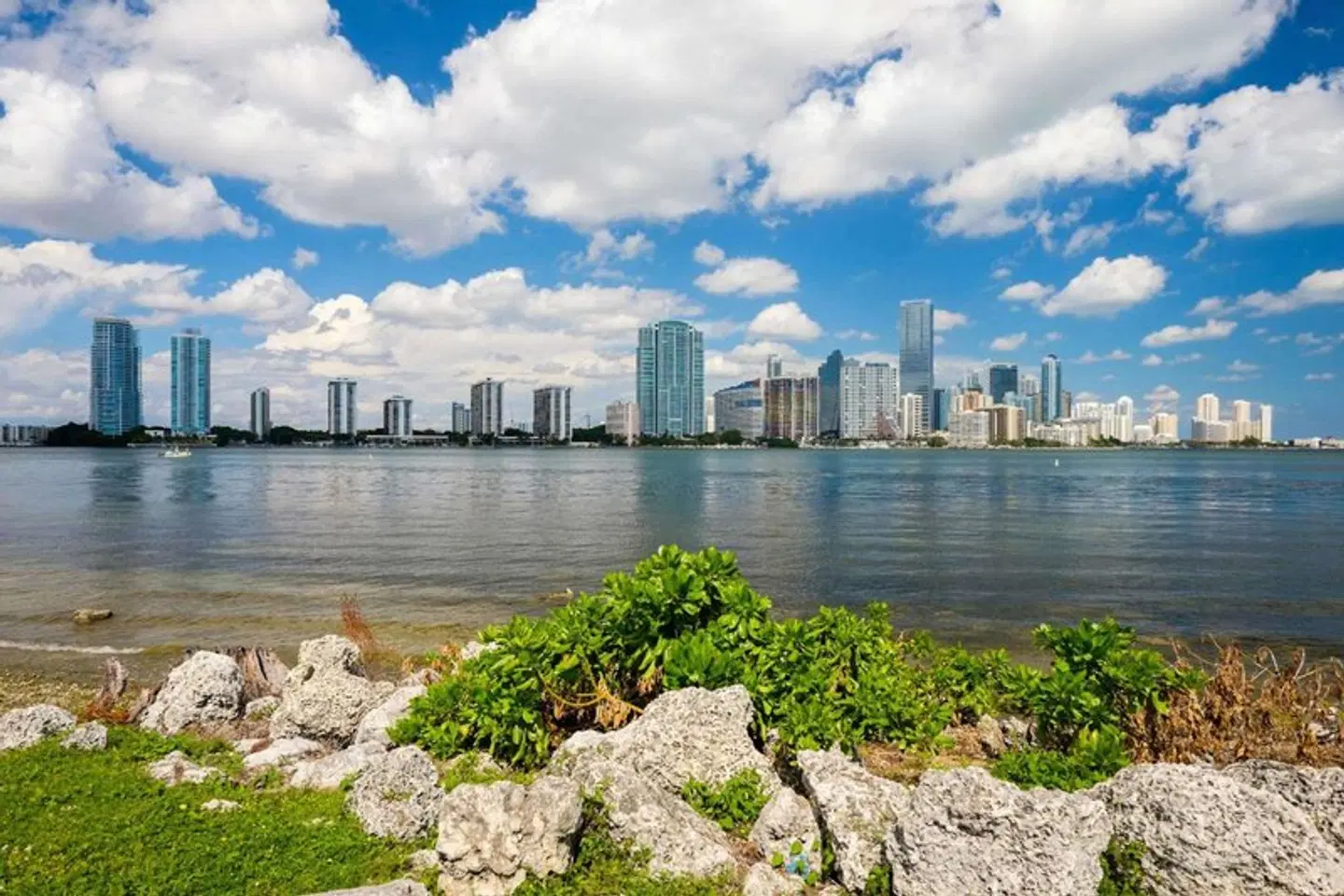 Breakwater South Beach LANDSCAPE