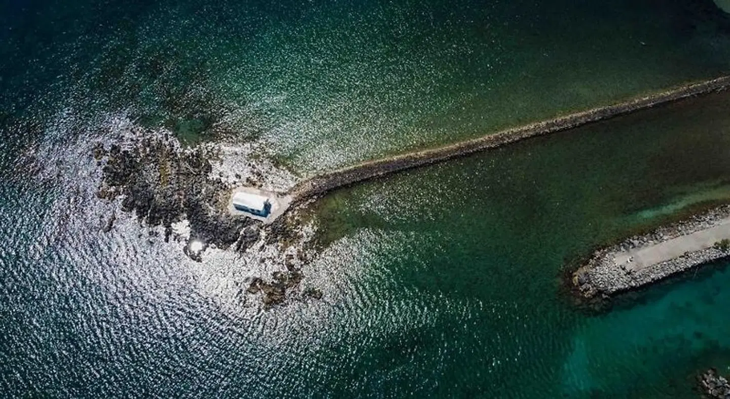 Kokalas Resort Tiere