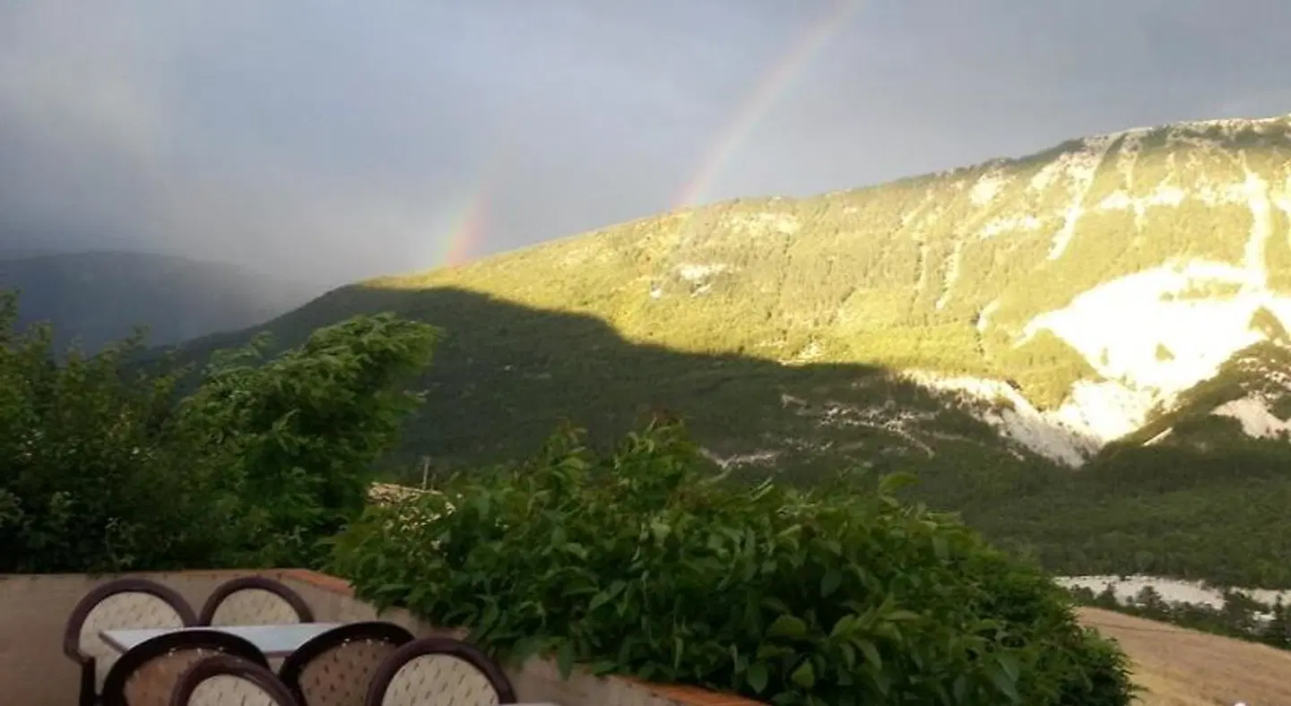 Mas du Colombier LANDSCAPE