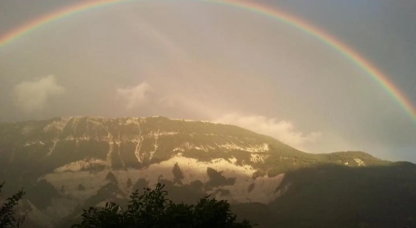 Mas du Colombier LANDSCAPE