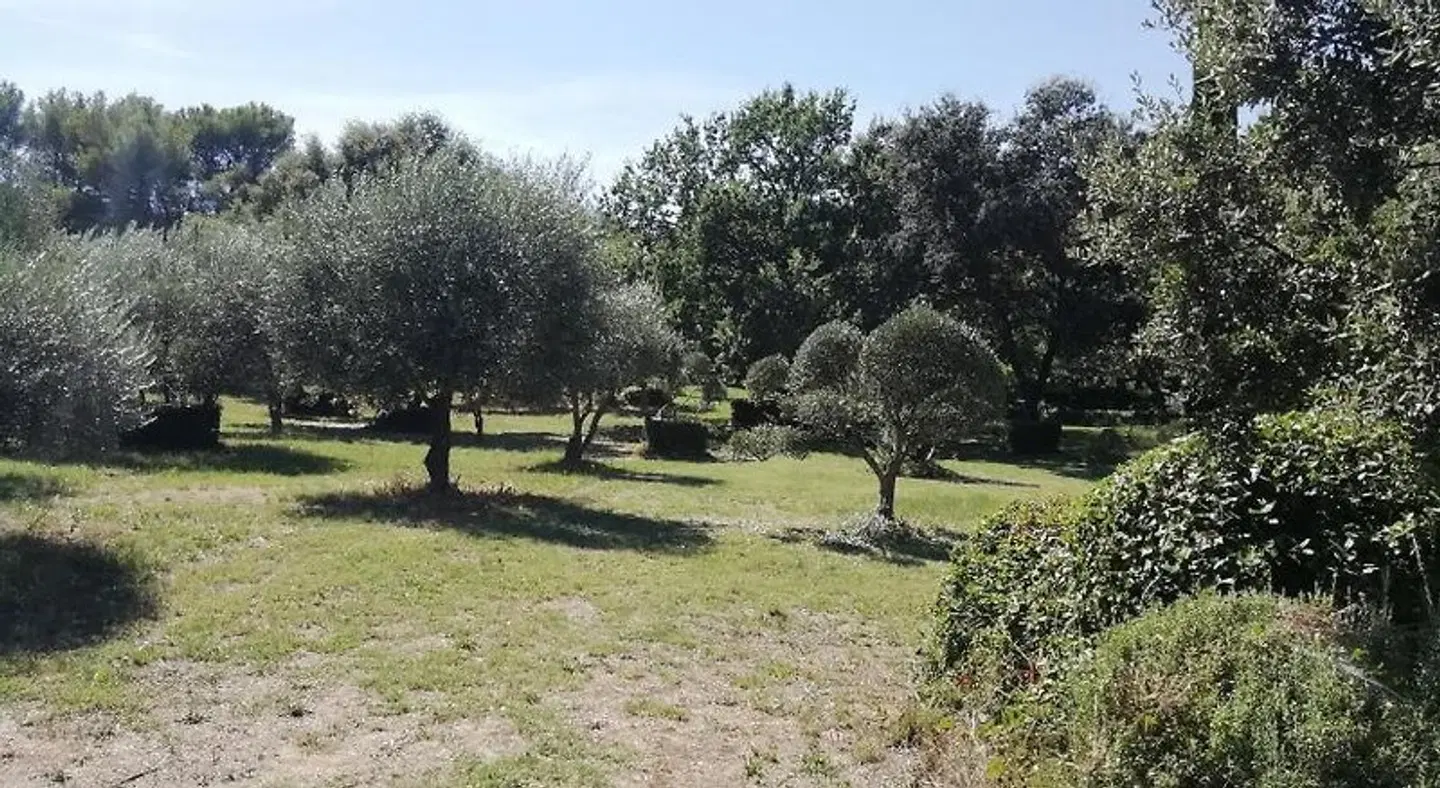 Le Mas des Escans Garten