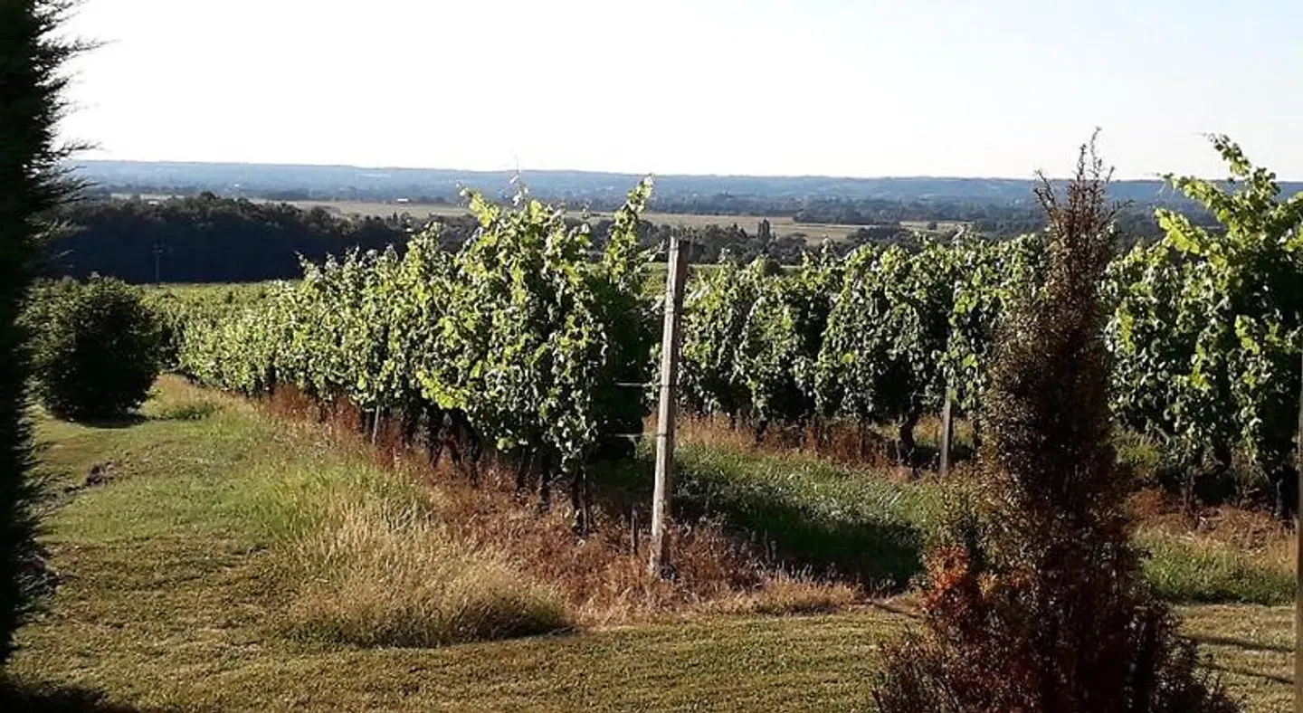 Les Marchettes LANDSCAPE