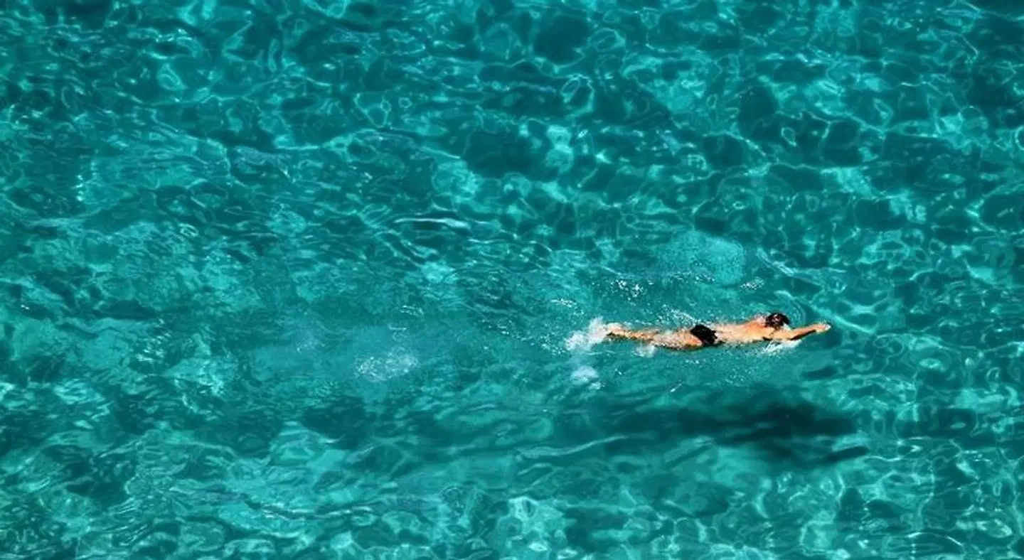 B&B Hortis Tropea Tiere