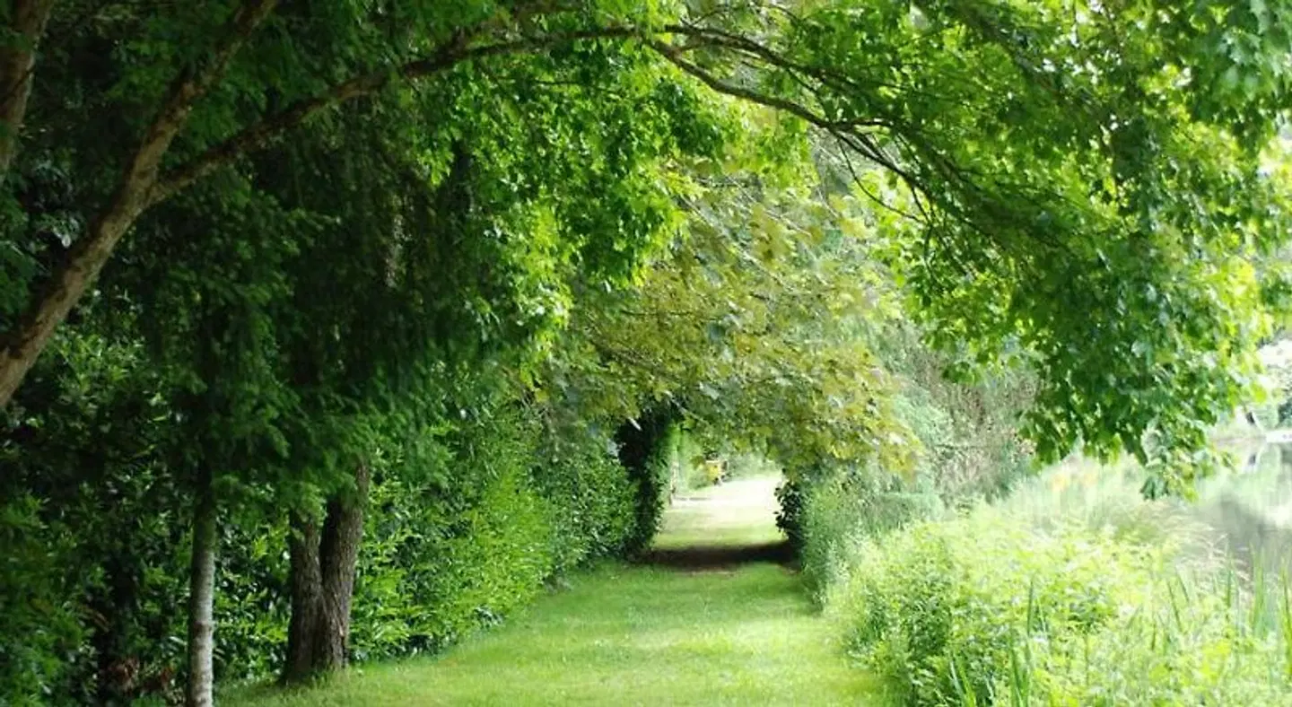 Spruce Lake Garten