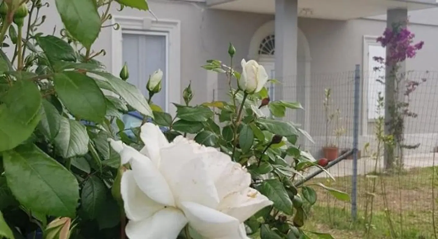 B&B Ripari di Giobbe HEALTH_BEAUTY