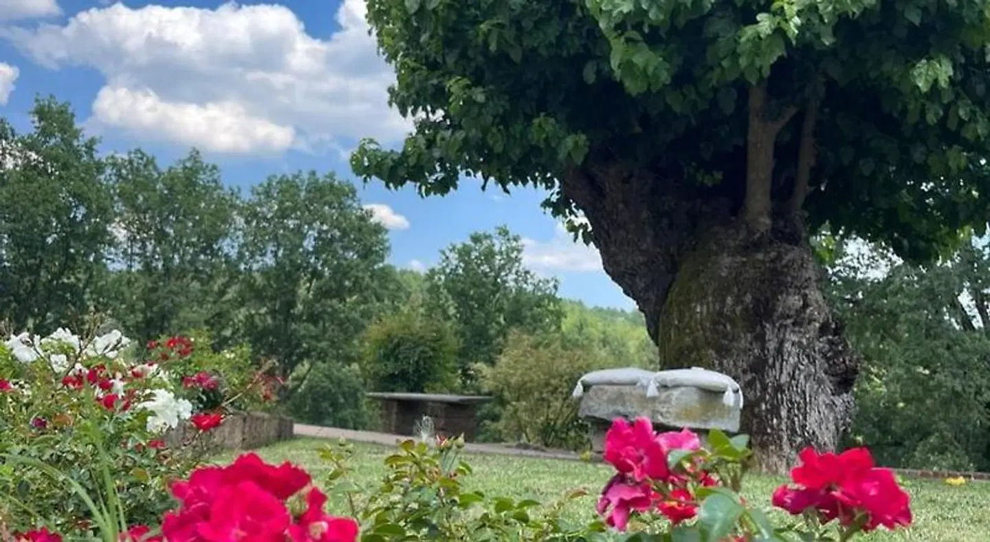 B&B La Bianchina Garten