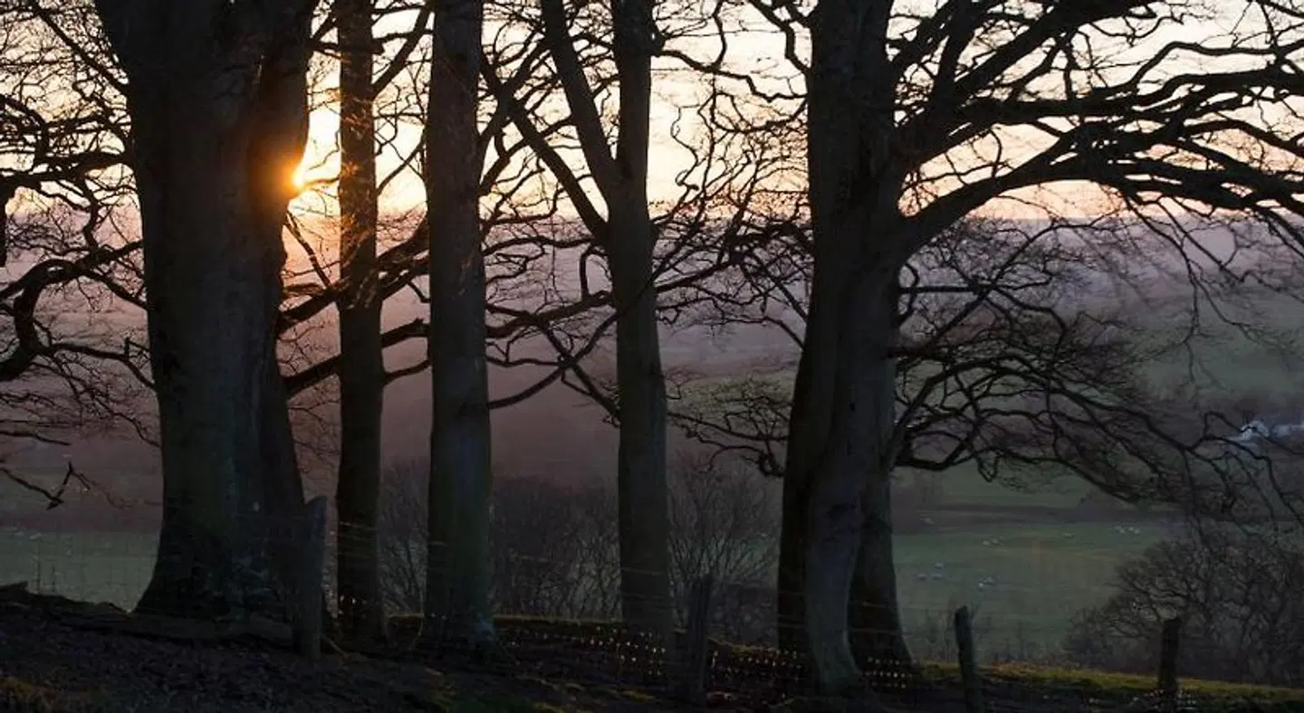 Hall Bed & Breakfast LANDSCAPE