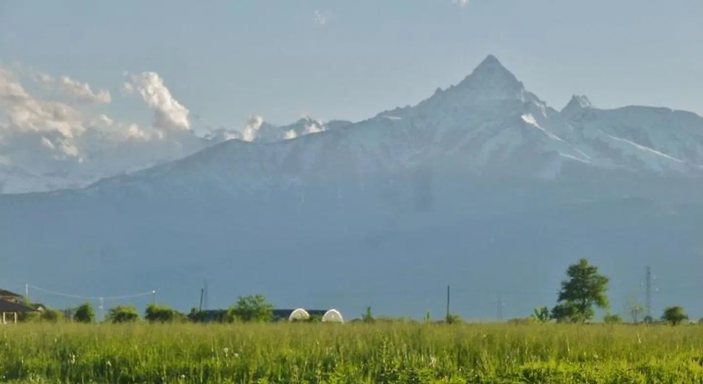 Tenuta Ajrale LANDSCAPE
