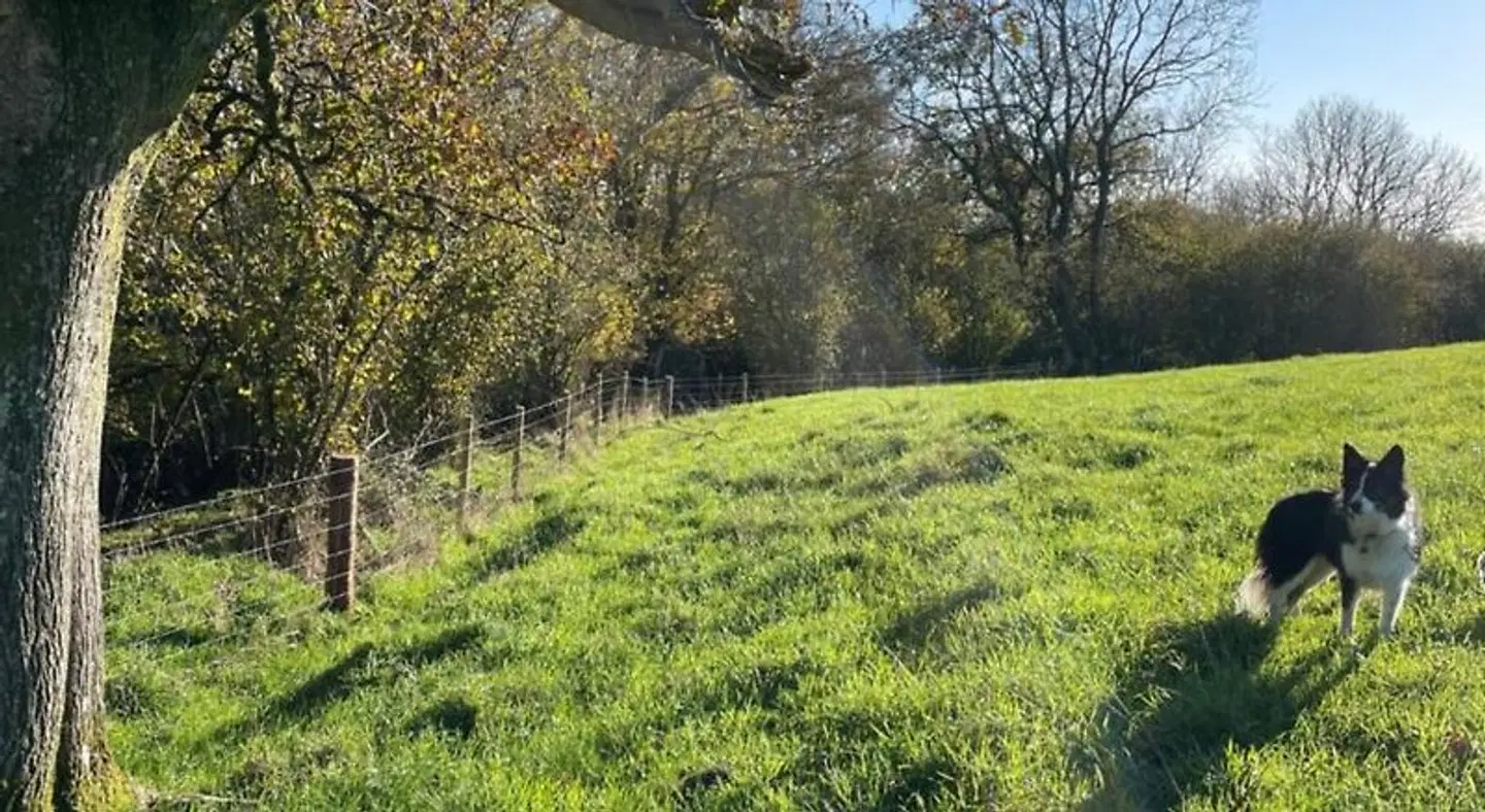 Higher Melcombe Manor LANDSCAPE