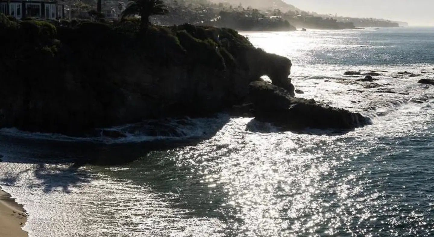 Travelodge Laguna Beach Tiere