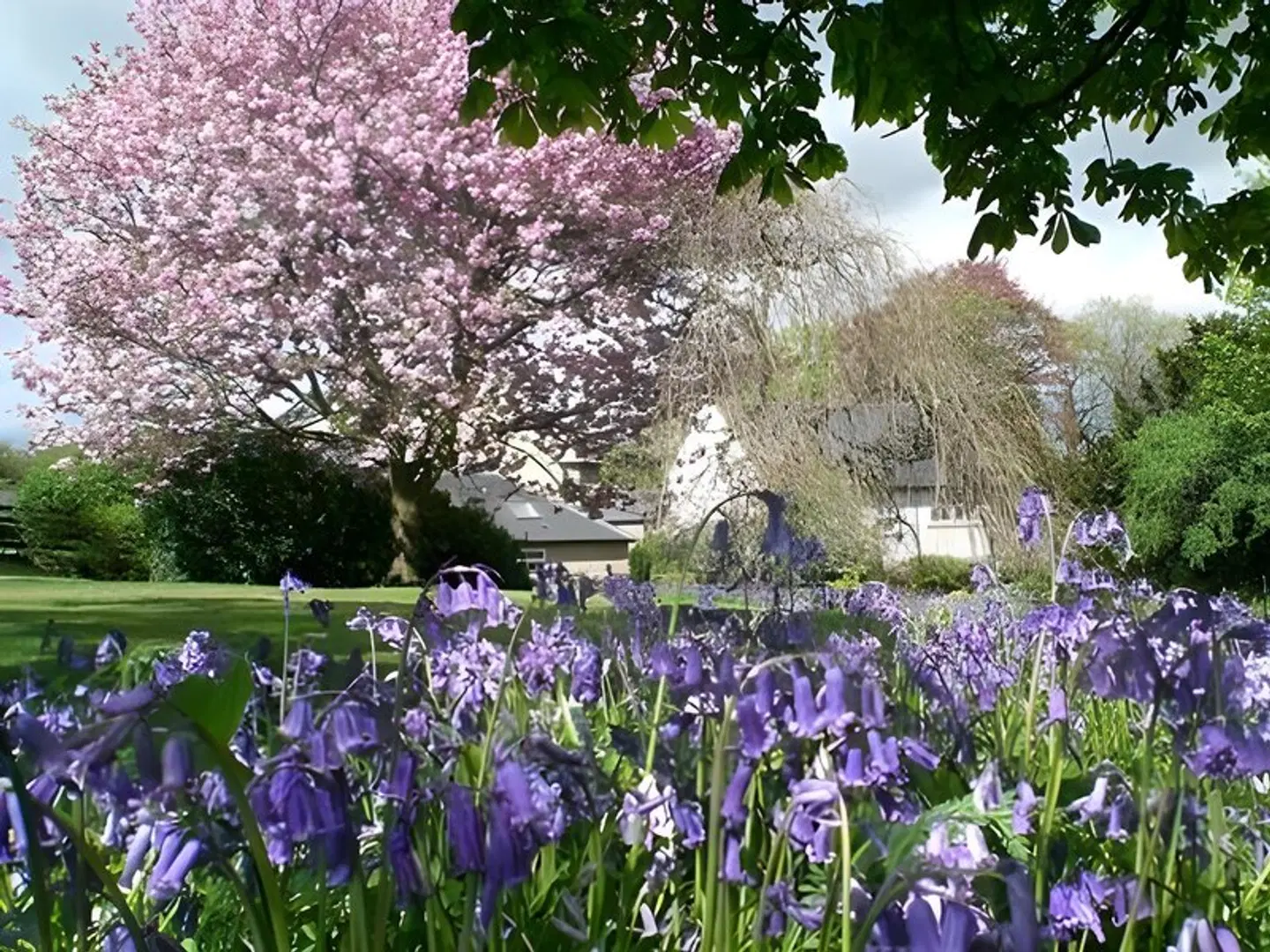 Hedgefield House Hotel LANDSCAPE
