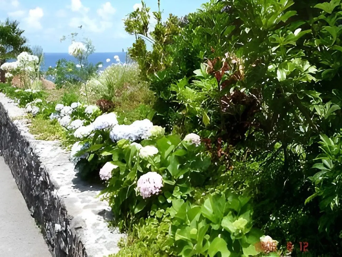 Casa da Capelinha Garten