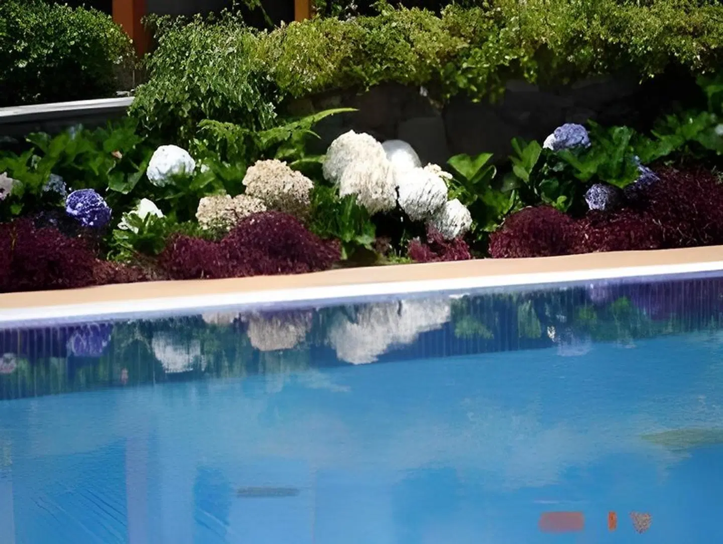 Casa da Capelinha OUTDOOR_POOL