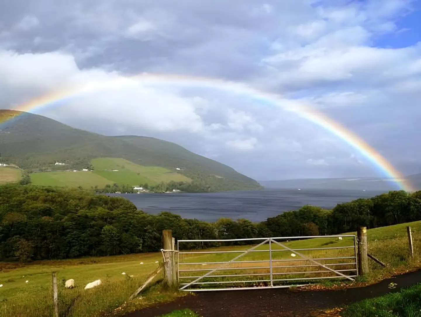 Loch Ness Lodge LANDSCAPE