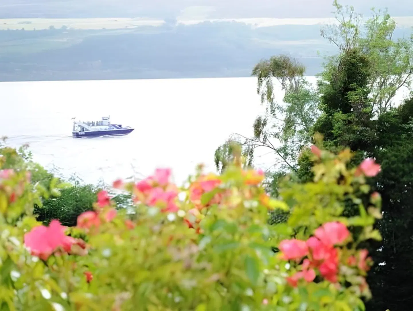 Loch Ness Lodge LANDSCAPE