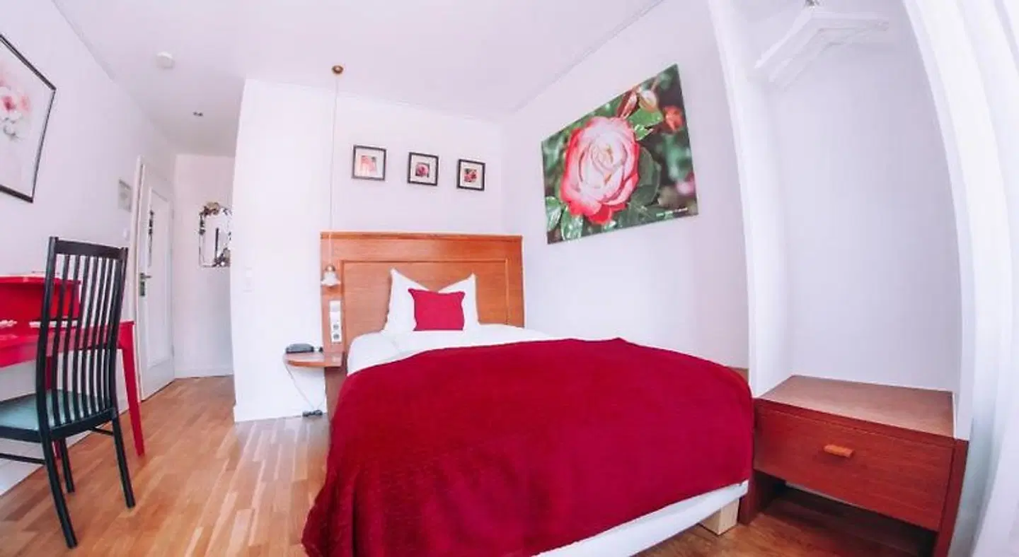 Zum Ochsen ROOM_EXAMPLE