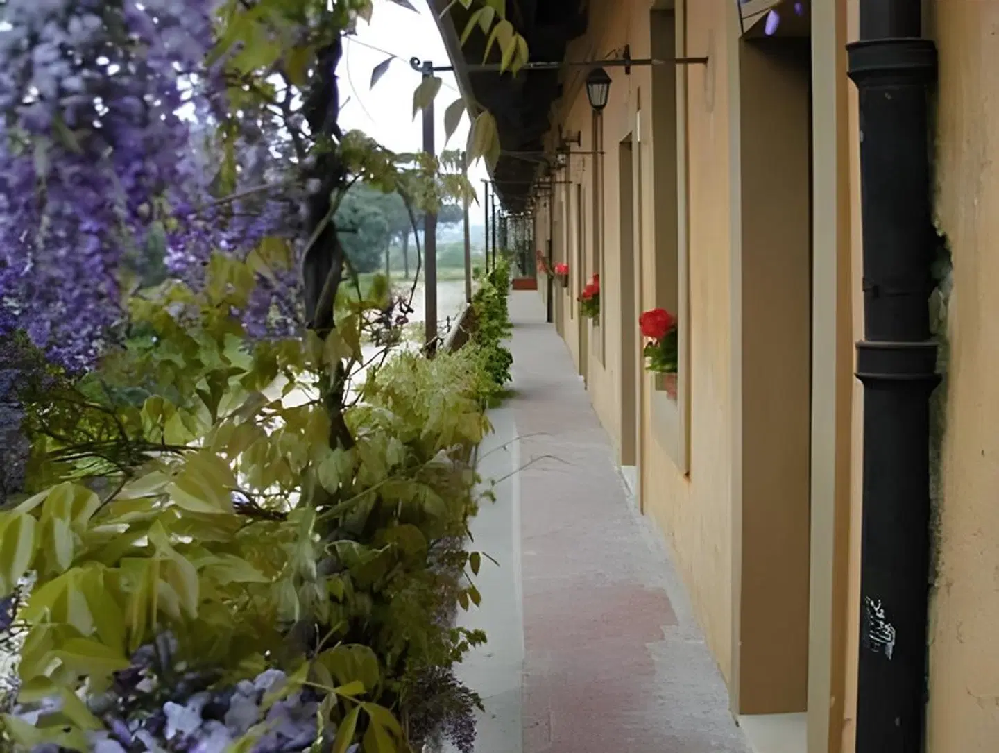 Agriturismo Pantano Borghese Garten