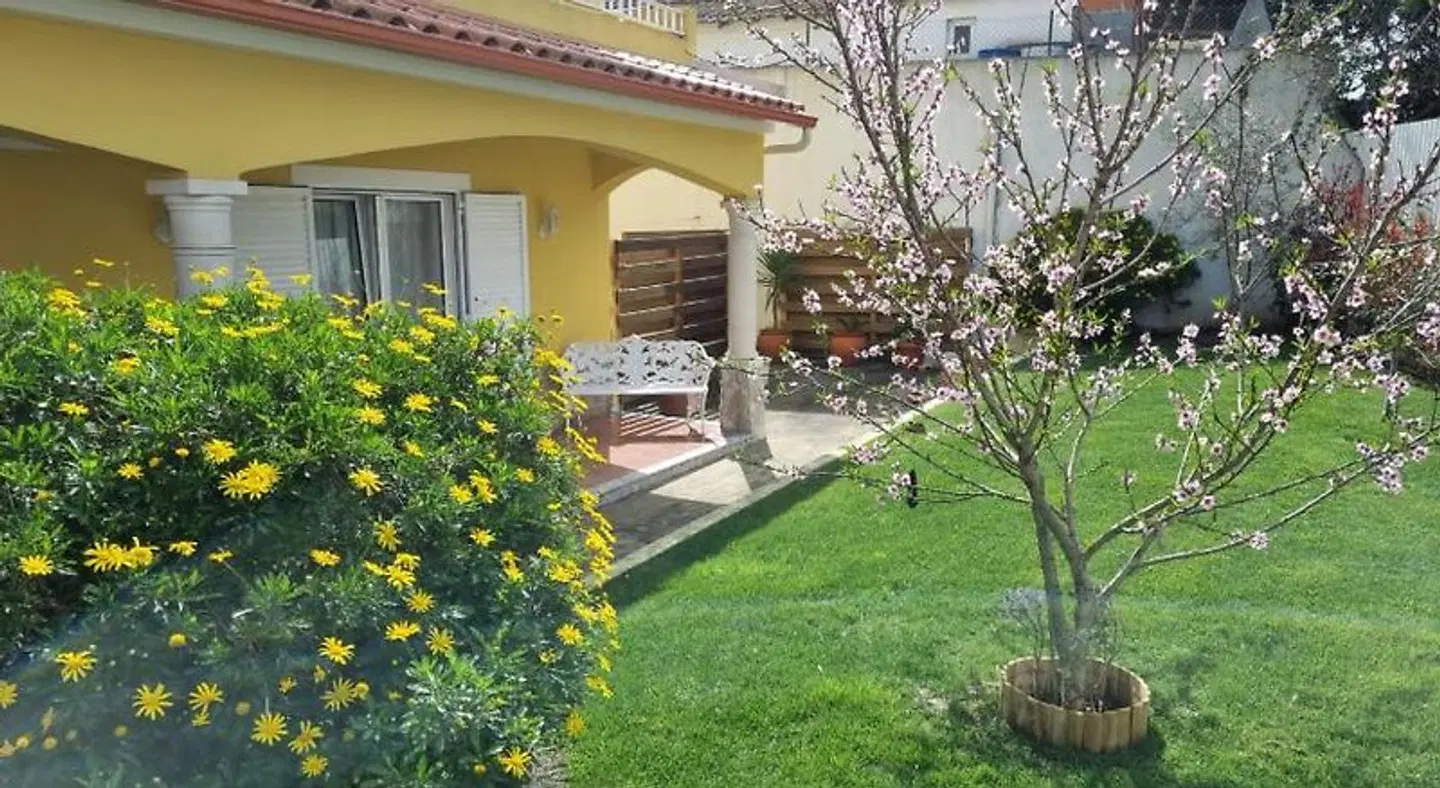 Casa das Palmas Garten