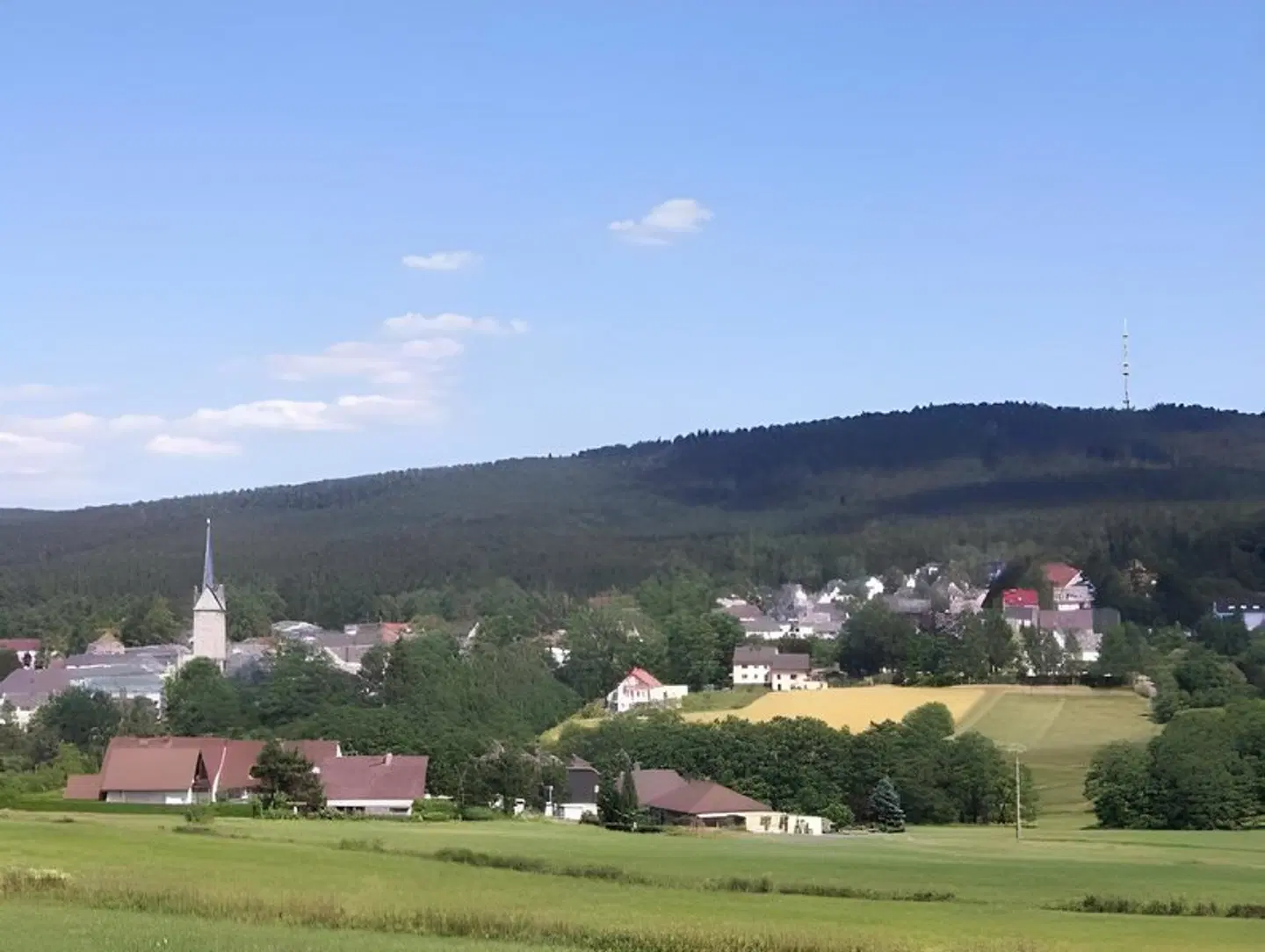 Zum Waldstein LANDSCAPE