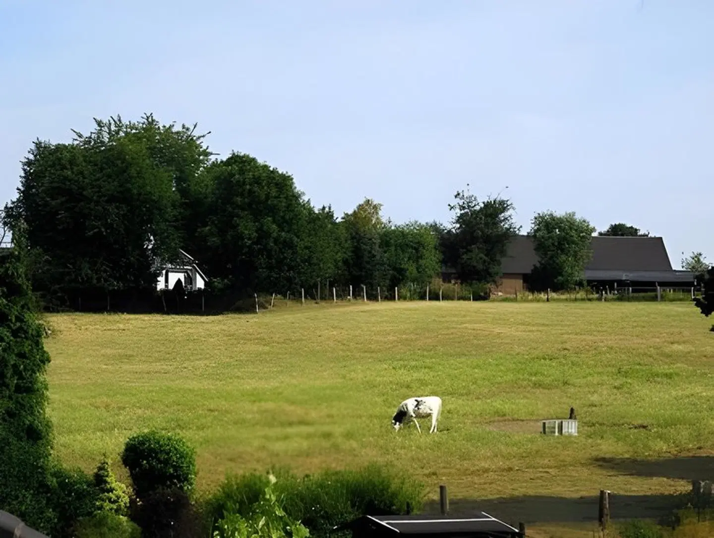 Haus Josten Tiere