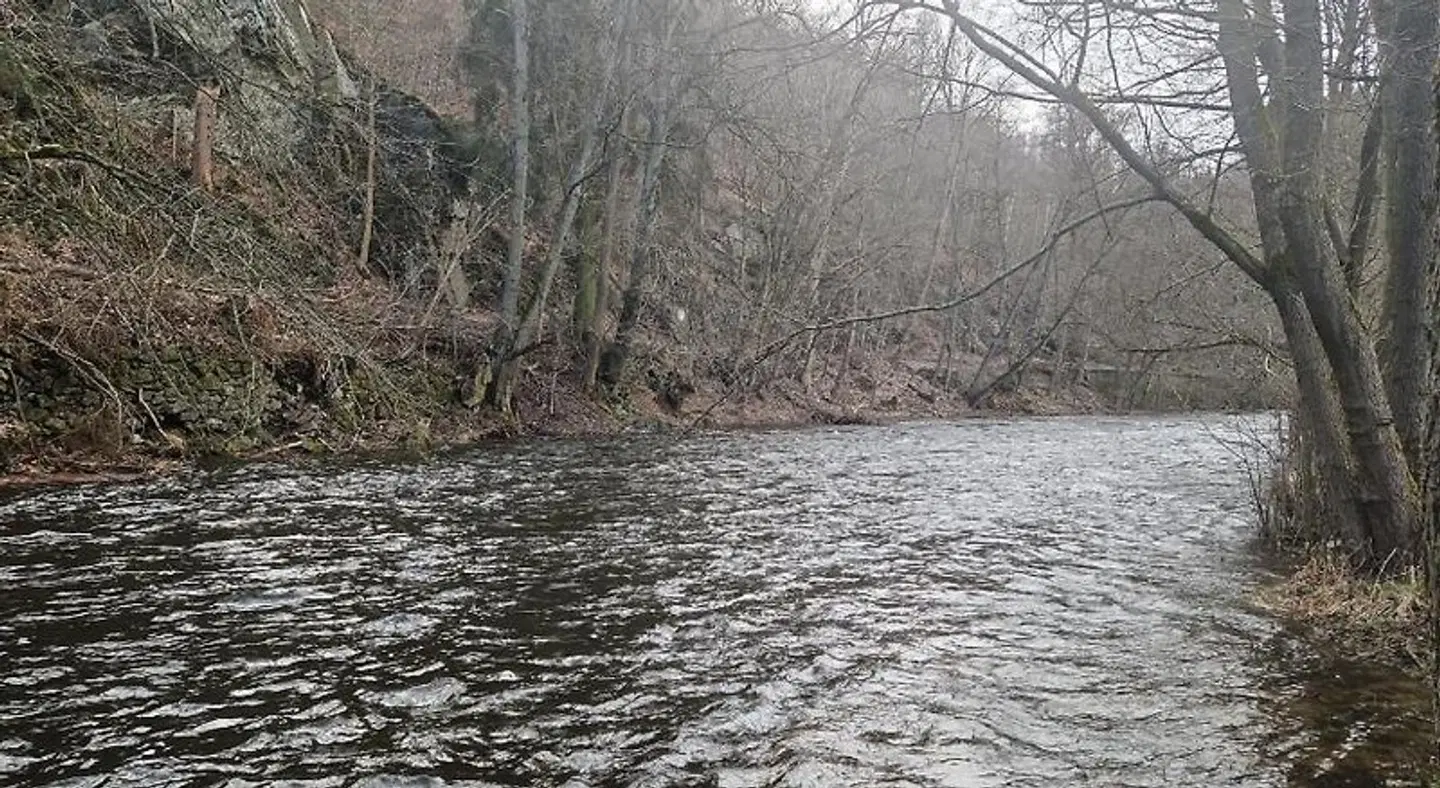 Haus Bodetal LANDSCAPE