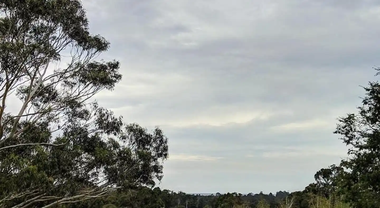 Nicholson BnB and Arts Centre Landschaft