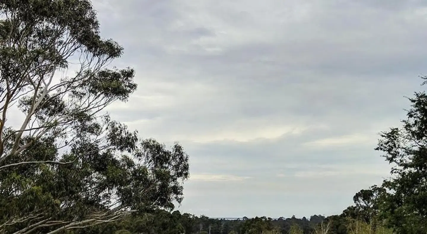 Nicholson BnB and Arts Centre LANDSCAPE