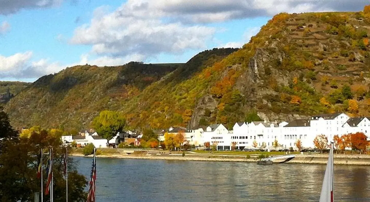 Rheinhotel LANDSCAPE