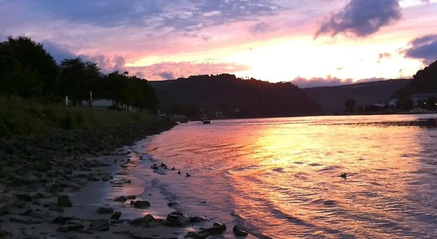 Rheinhotel LANDSCAPE