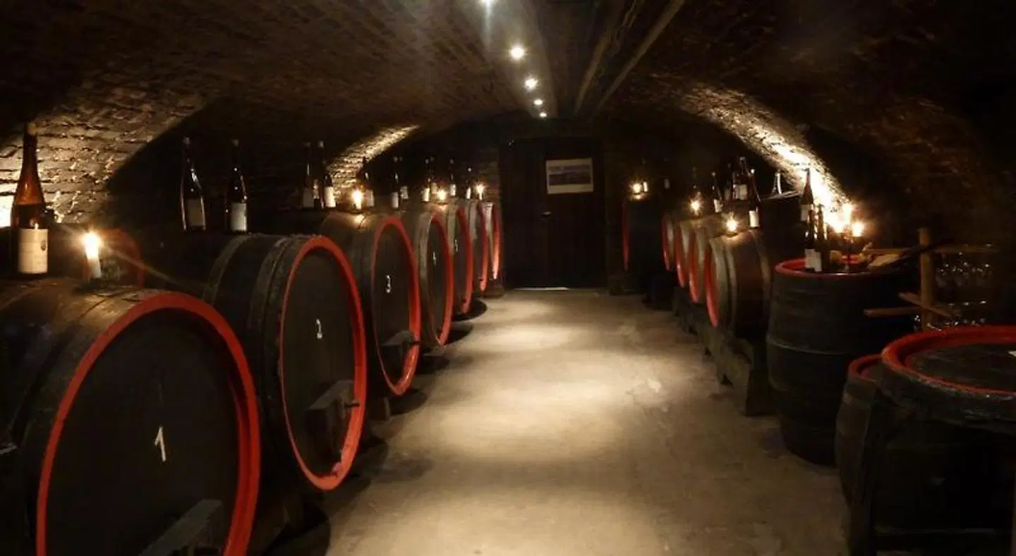 Gasthaus Weingut Stahl SPORTS_AND_LEISURE