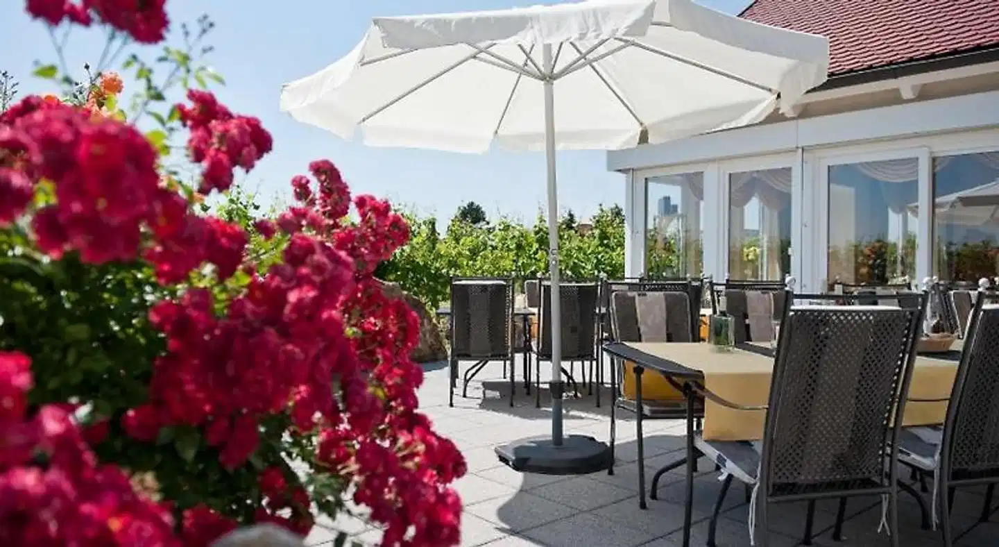 Weingut & Gästehaus Felshof Terrasse